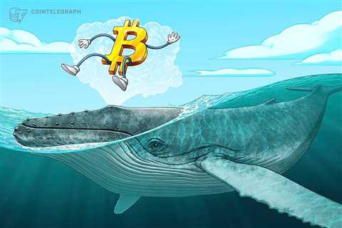 Third-largest whale celebrates Bitcoin's birthday with 456 BTC buy 