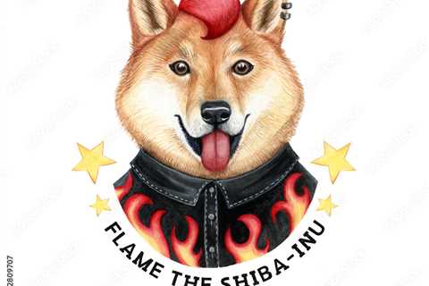 Shiba Inu Burn Roadmap Revealed