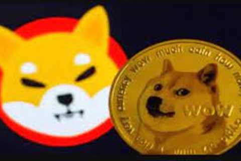 BABY DOGE COIN AND EGC- TOP BINANCE CHAIN CURRENCIES SURGES IN 2022
