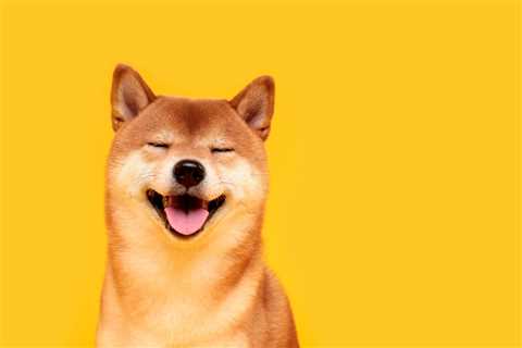 A Brief History Of Crypto's Greatest Meme - DogeCoin Market News Now