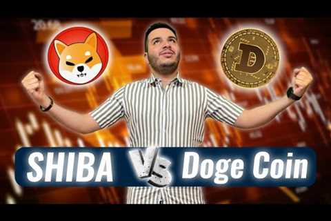 BEST ADVICE FOR NEW CRYPTO INVESTORS, Shiba Vs Doge Coin (HOW TO WIN) - DogeCoin Market News Now