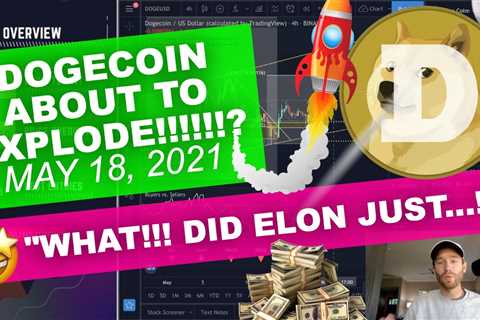 DOGECOIN - "Explode To $0.98 - $1.00!?" Did Elon Musk Just Transfer.... - DogeCoin Market ..
