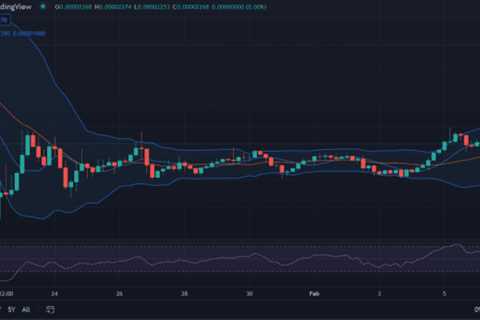 Shiba Inu price analysis: SHIB fluctuates under the $0.00002300 mark - Shiba Inu Market News