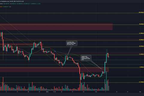 Shiba Inu on its way back to support, demand could see another leg upward - Shiba Inu Market News