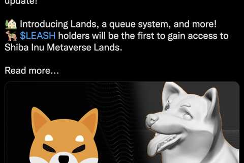 Step into the Shiba Inu Virtual World and Join the Land Sale - Shiba Inu Market News