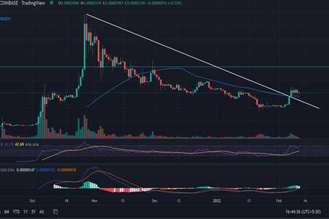 SHIBA Inu (SHIB) Price Prediction: SHIB Stays On The Back Foot Towards 50 SMA - Shiba Inu Market..