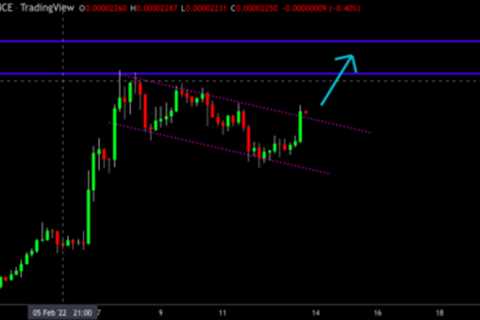 The Shiba Inu (SHIB) Breakout That Suggests Further 12% Upside - Shiba Inu Market News