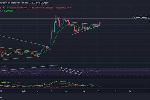 Shiba Inu, Chainlink, MANA Price Analysis: 17 February - Shiba Inu Market News