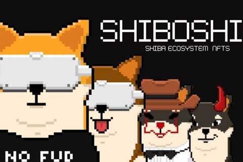 How The SHIB NFTs Fit Into The Shiba Inu Ecosystem - Shiba Inu Market News