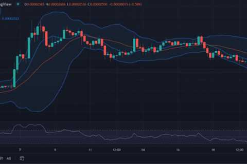 Shiba Inu price analysis: SHIB declines at $0.00002548 - Shiba Inu Market News