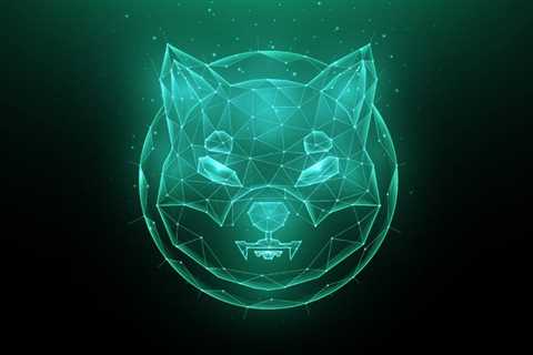 Shiba Inu Becomes Most Traded Token By Top 1000 ETH Wallets After Latest AMA Session - Shiba Inu..