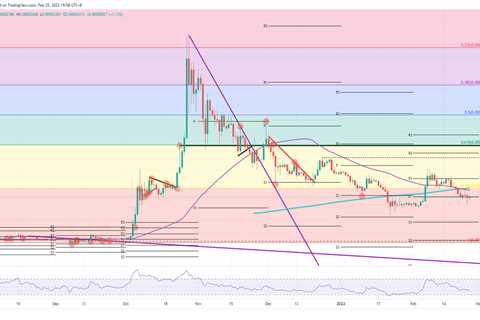 Shiba Inu price set for a drop of 72% as death cross forms - Shiba Inu Market News