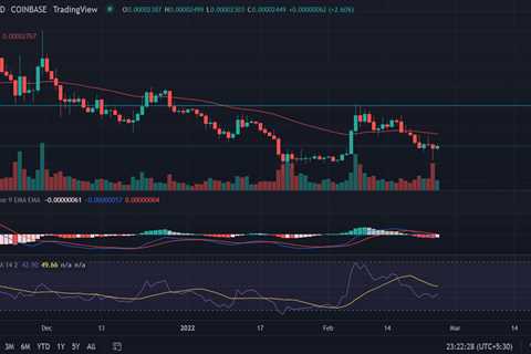 SHIBA Inu (SHIB) Price Prediction: SHIBA Set To Soar 45% Amid Relief Rally, Advances Toward $0..