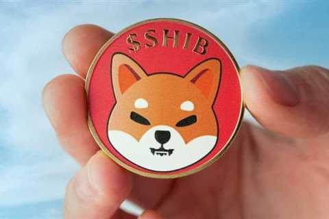 SHIB transactions decline for the 4th consecutive month - Shiba Inu Market News