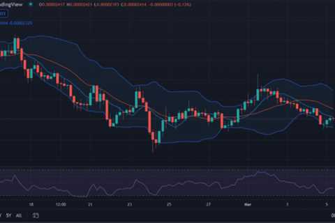 Shiba Inu price analysis: SHIB gains value at $0.00002414 - Shiba Inu Market News