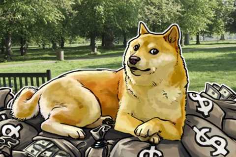 Dogecoin Becomes Top Purchased Coin Among 100 Biggest BSC Whales After Tesla CEO Confirms He's Not..