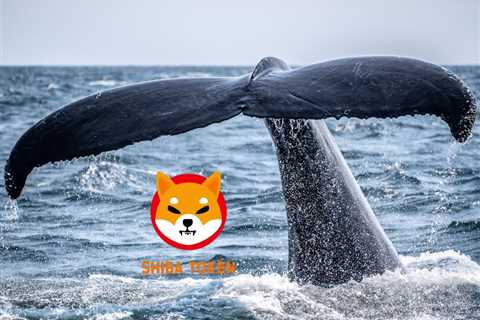 This ETH whale bought 50 billion Shiba Inu amidst inert price action