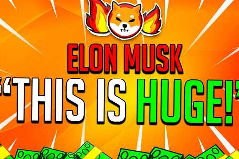 ELON MUSK REVEALS WHY YOU NEED 20,00,000 SHIBA INU TOKENS! – SHIB Game - Shiba Inu Market News