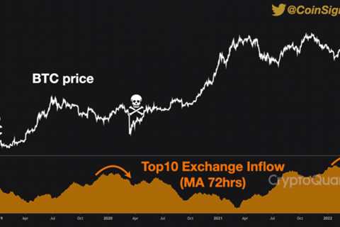 Bitcoin Top 10 Whale Inflows Form Historic Bear Signal