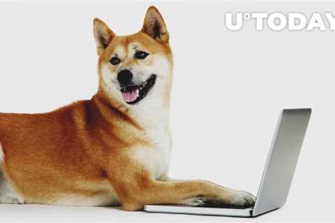Shiba Inu Teases Community as It Gears up for Major Announcement in Next 24 Hours - Shiba Inu..