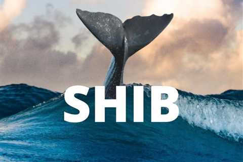 A Tsunami of Shiba Inu Tokens Purchased By Ethereum Whales this Week