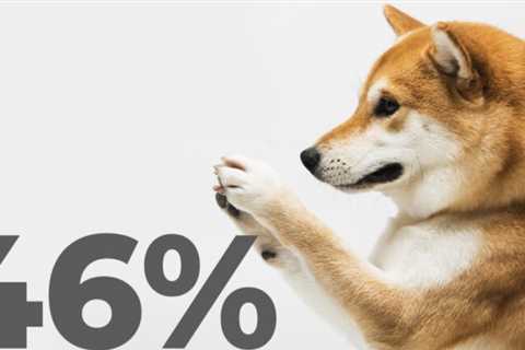 Shiba Inu’s Profitability Rises to 46% as Expectations for Future Announcements Increase
