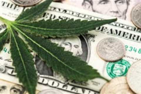 Cannabis Stocks News: Why Are ACB, TLRY, SNDL, CGC Stocks Up Today? - Shiba Inu Market News