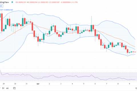 Shiba Inu price analysis: SHIB bearish for the next 24 hours - Shiba Inu Market News