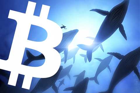 This Bitcoin (BTC) whale allocates $1 million every day, regardless of price.  How much is he..