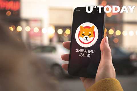 Shiba Inu Now Accepted as Payment by Delivery App Rappi Mexico - Shiba Inu Market News