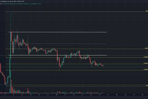 What SHIB shillers should expect- Accumulation phase or steady downtrend - Shiba Inu Market News