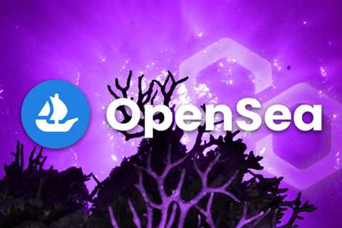 OpenSea Polygon users surpass 1.2 million, but is that the full picture?