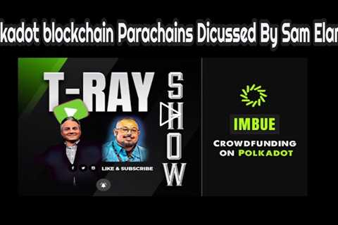 Polkadot blockchain Parachains Dicussed By Sam Elamin On The T Ray Show