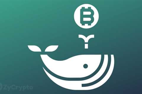 Bitcoin Whales Filling Their Bags Despite Warnings BTC Price Could Nosedive To $20,000
