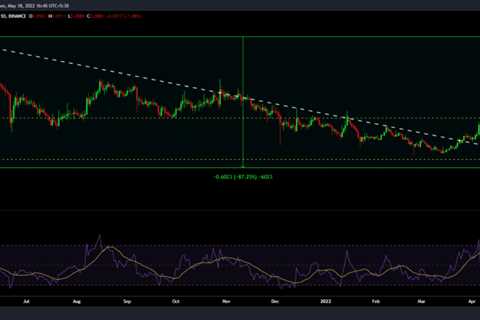 Assessing how Dogecoin [DOGE] has changed since its ATH last year