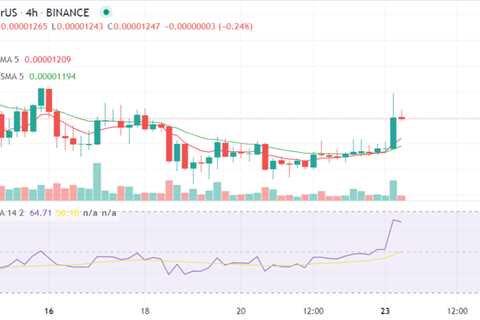 SHIB Price Reaches A Key Resistance Level Following A 6% Pump