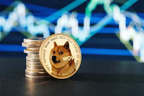 All you need to know about the upcoming DOGE update 1.46.6