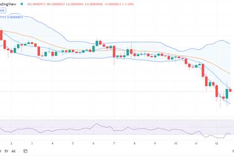 Shiba Inu price analysis: SHIB further depreciates to $0.00000906 after strong bearish run - Shiba..