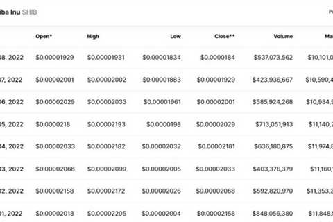 Shiba Inu (SHIB) Market Cap Slashed by More Than $5B in May - Shiba Inu Market News