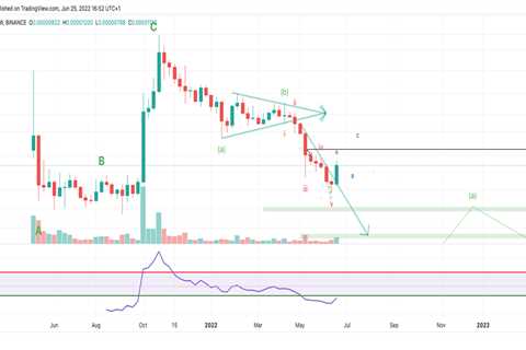 Don't believe the hype, the Shiba Inu price will pullback - Shiba Inu Market News