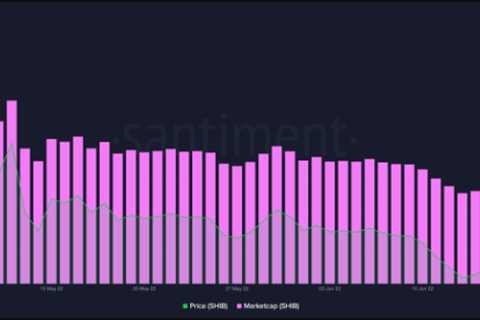 SHIB’s Lackluster Performance Since Launch of Burn Portal - Shiba Inu Market News