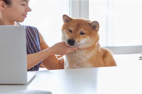 Why Ethereum Whales Are Buying Shiba Inu Hand Over Fist - Shiba Inu Market News