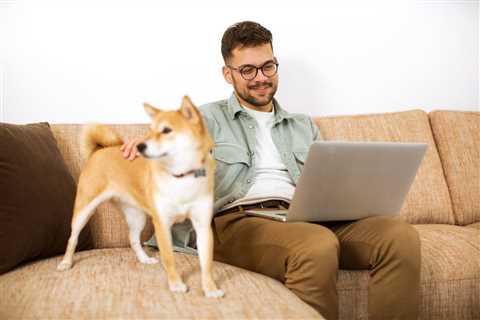 Shiba Inu Interest Falls Along With Its Google Searches - Shiba Inu Market News