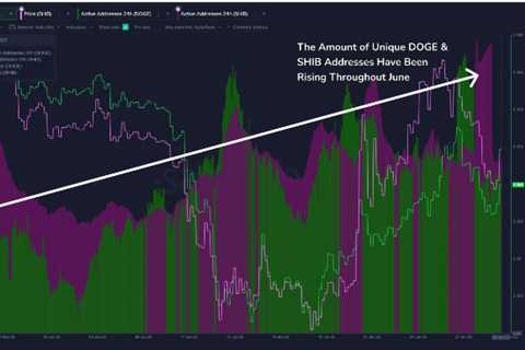 SHIB Up 35%, DOGE Up 32% in Network Activity Over 10 Days