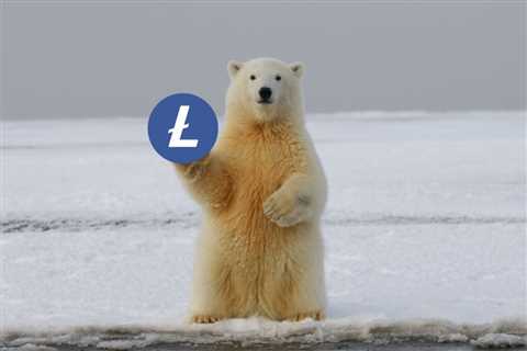 Here’s how the Bears are meddling with Litecoin’s MimbleWimble