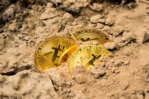 Survey shows 55% of crypto investors chose to HODL as Bitcoin and altcoin prices collapsed