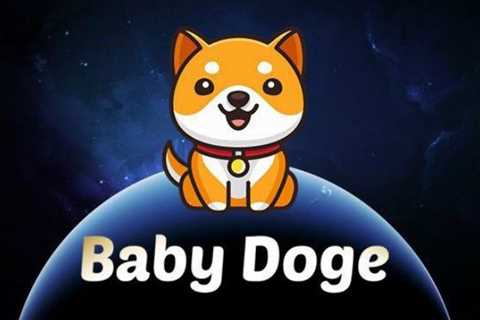 Merchants Can Now Accept BabyDoge As Payment As FCF Pay Adds Support For The Meme Coin – The Crypto ..