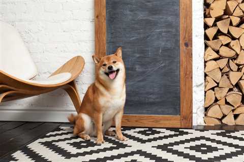 Shiba Inu Could Reach $1 - in About 10,270 Years - Shiba Inu Market News