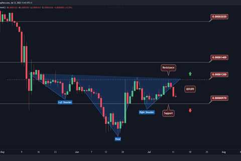 SHIB Crashes 10% Over the Weekend, Here's the Next Target - Shiba Inu Market News