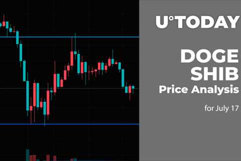 DOGE and SHIB Price Analysis for July 17